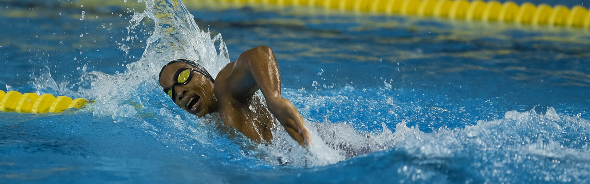 Bannière sur VIP Crossing